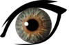 Eye Brown Image