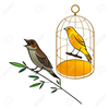 Canary Clipart Image
