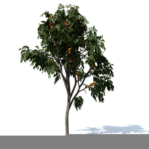 Ds Max Clipart Image