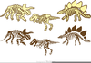 Dinosaur Bones Clipart Image