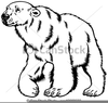 Free Polar Bear Clipart Image
