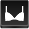 Bra Icon Image