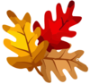 Bladeren Clipart Van De Boom Van De Herfst De Eiken Clip Art