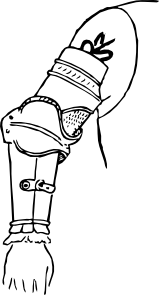 Attachment Of Brassard By Points Clip Art