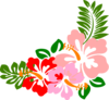 Hibiscus Nat Clip Art