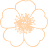 Cream Buttercup Flower Clip Art