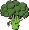 Broccoli  Clip Art