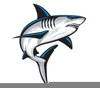 Shark Logos Image