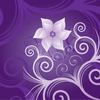783 Image