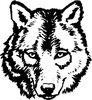 Wolf Head Clipart Image