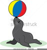 Seal With Ball Clipart Image