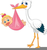 Baby Congratulation Clipart Image