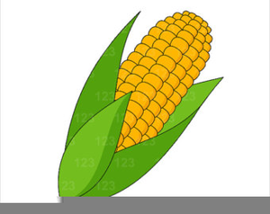 Free Indian Corn Clipart Image