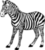 Zebra Clip Art
