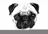 Dog Sketch Clipart Image