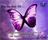 Confederate Butterfly Clipart Image
