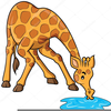 Drinking Animal Picture Clipart Image