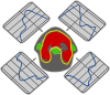 3d Brain Mri Clip Art