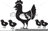 Clipart Hen Chicks Image