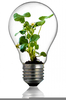 Light Bulb Planter Image