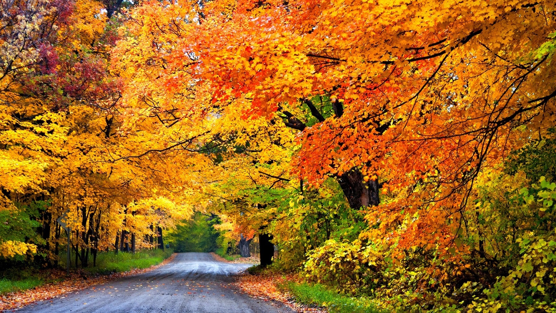 Colorful Autumn Road Trees Park X | Free Images at Clker.com - vector ...
