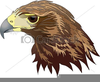 Clipart Of A Hawk Image