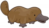 Platypus Image