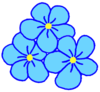 Flower Image