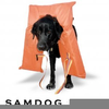 Dog Profile Image