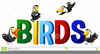 Bird Clipart Png Image