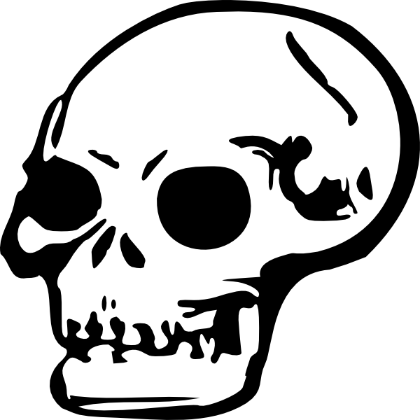 Human Skull Clip Art at Clker.com - vector clip art online, royalty