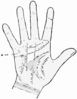 Palmistry Image Clip Art