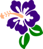 Purple Hibiscus Clip Art