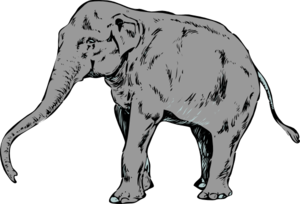 Grey Elephant Clip Art