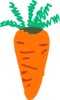 Carrot Clip Art