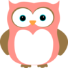 Owl Pink Brown Image