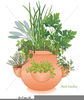 Free Herb Garden Clipart Image