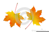 Leaves Clipart Background Image