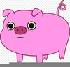 Scared Pig Clipart Image