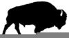 Bison Skull Clipart Image