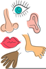 Body Parts Nose Clipart Image