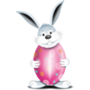 Bunny Egg Pink Image