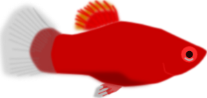 Red Aquarium Fish Clip Art