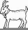 H Horse Clipart Image