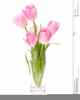 Clipart Tulip Flower Image