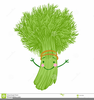 Free Clipart Vegetable Image