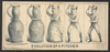 Evolution Of A Pitcher Image