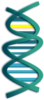 Modified Dna Clip Art