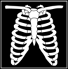 Black White Xray Clip Art