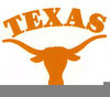 University Of Texas Longhorn Clipart Image